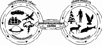 Человек и информация в материальном мире